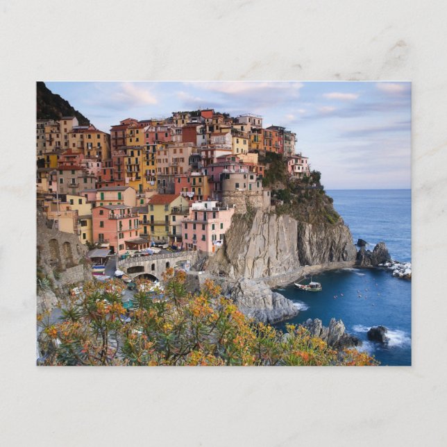 Cinque Terre, Italy Postcard (Front)