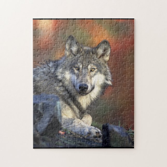 Cinus Lupus Jigsaw Puzzle (Vertical)