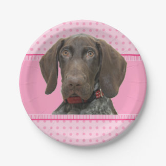 cir    grizzly   girlspink baby 4.jpg paper plate
