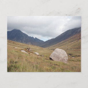 Cir Mhor Postcard