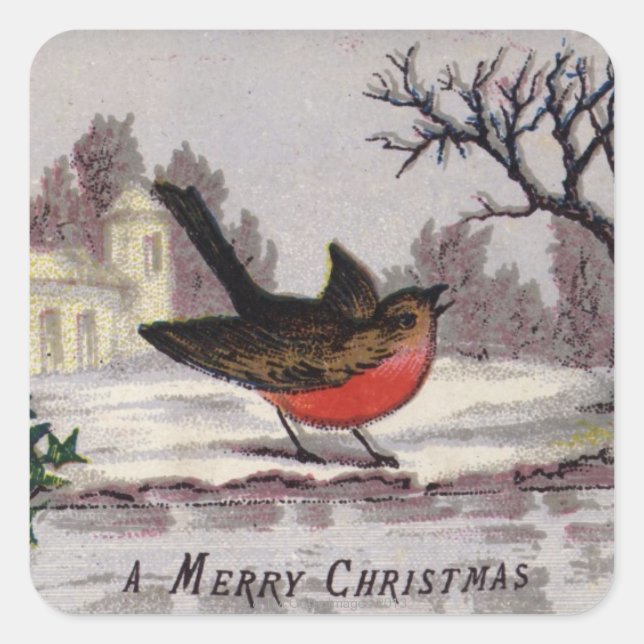 Circa 1865: A traditional Christmas robin Square Sticker (Front)
