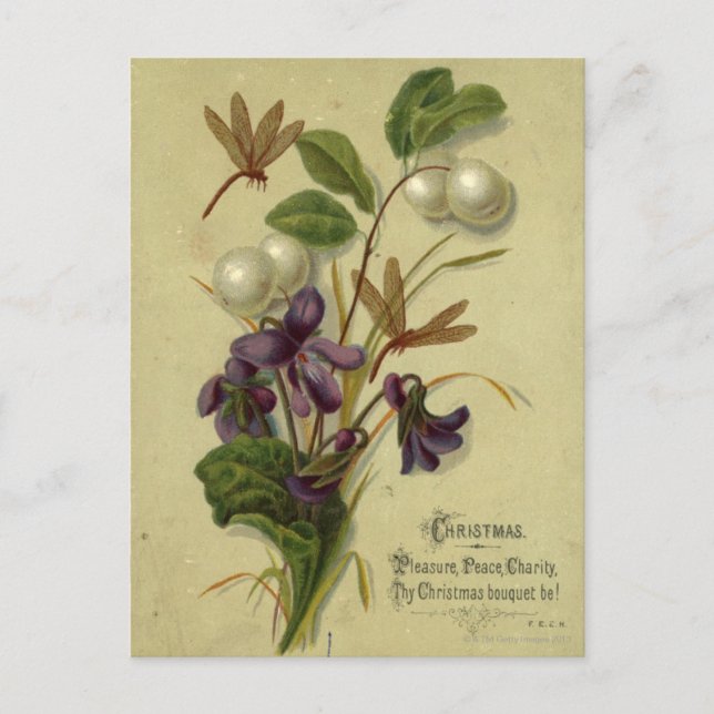 Circa 1881: Snowberries and violets Postcard (Front)