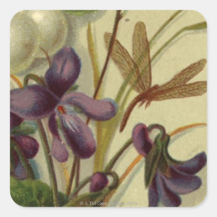 Circa 1881: Snowberries and violets Square Sticker