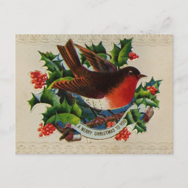Circa 1900: A traditional Christmas robin Holiday Postcard (Front)
