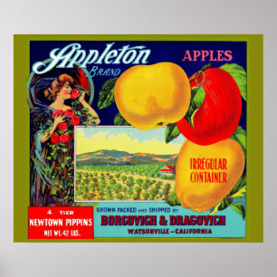 circa 1900 Appleton Apples crate label Poster