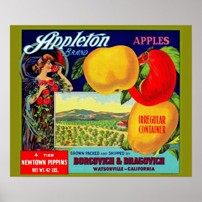 circa 1900 Appleton Apples crate label Poster (Front)