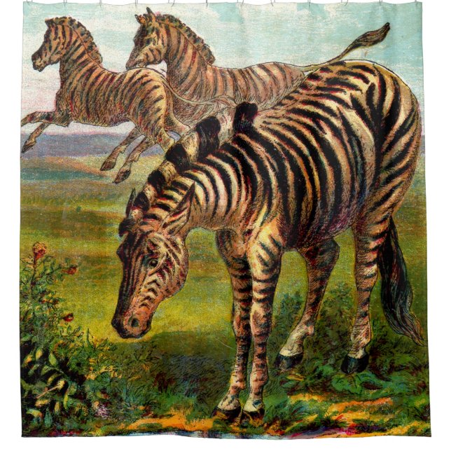 circa 1900 zebras print shower curtain (Front)