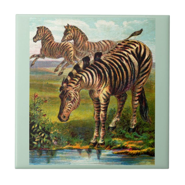 circa 1900 zebras print tile (Front)