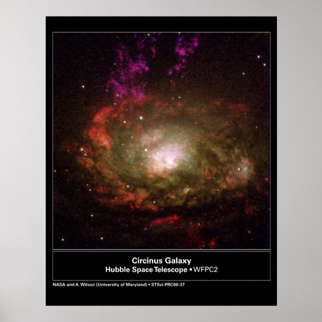 Circinus Galaxy Hubble Telescope Poster (Front)