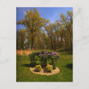 Circle Of Beauty Postcard