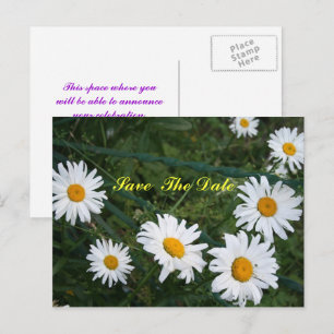 Circle of Daisies Save The Date Postcard