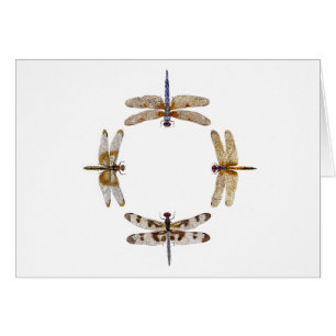 Circle of Dragonflies
