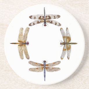 Circle of Dragonflies Coaster