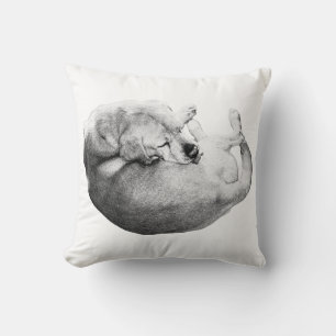 Circle of Ease Cushion