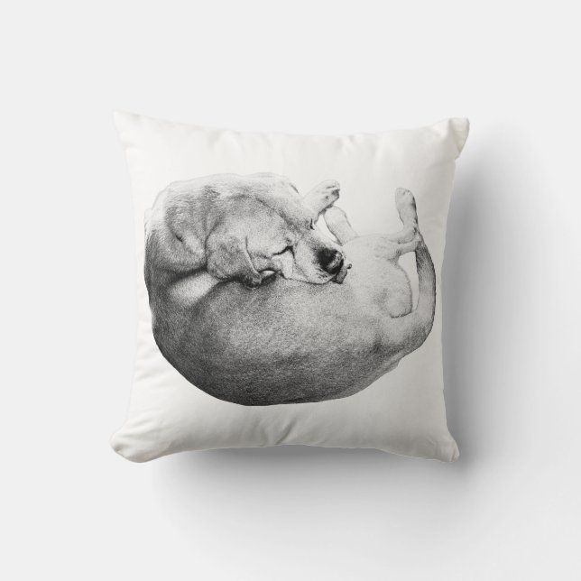 Circle of Ease Cushion (Front)
