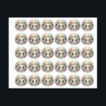 Circle of Flight and Whimsy<br><div class="desc">Wings in the Garden of Clouds</div>