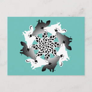 circle of giraffes postcard