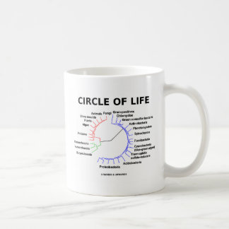 Circle Of Life (Circular Phylogenetic Tree) Coffee Mug
