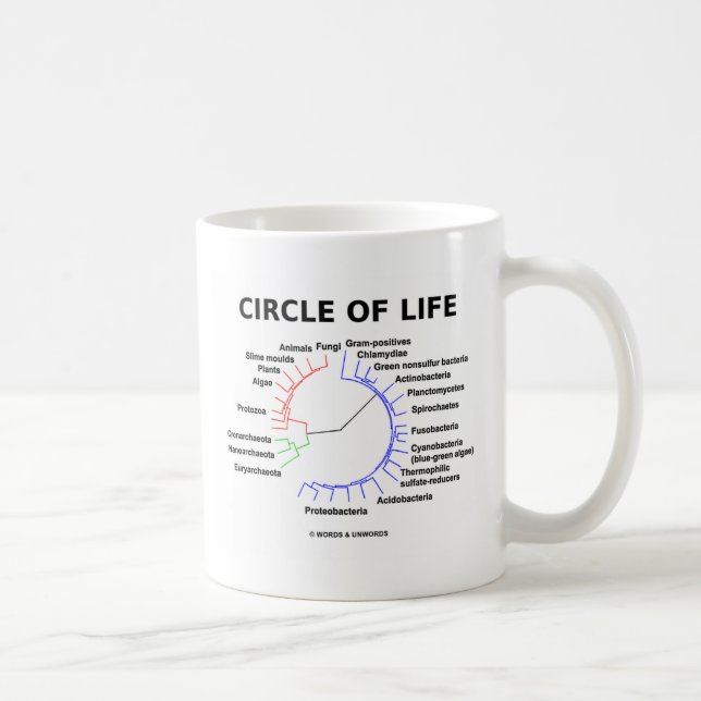 Circle Of Life (Circular Phylogenetic Tree) Coffee Mug (Right)