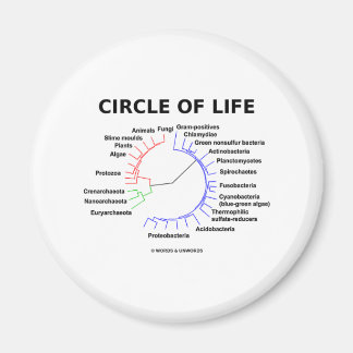 Circle Of Life (Circular Phylogenetic Tree) Magnet