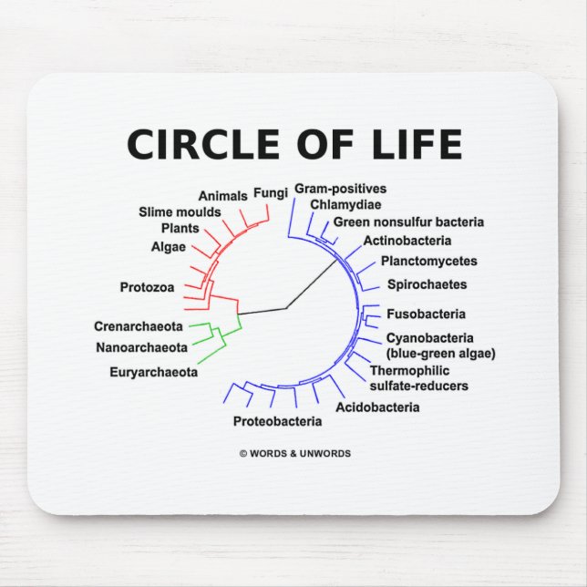 Circle Of Life (Circular Phylogenetic Tree) Mouse Mat (Front)