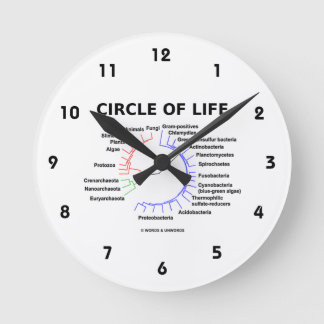 Circle Of Life (Circular Phylogenetic Tree) Round Clock