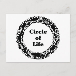Circle of life postcard