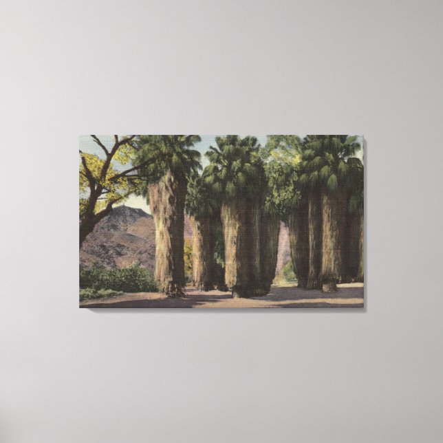 Circle of Palms, Andreas Canyon Canvas Print (Front)