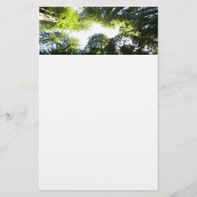 Circle of Redwood Trees at Redwood National Park Stationery (Front)