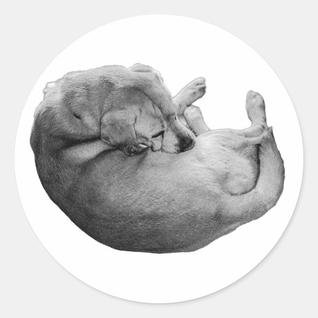 Circle of Rest Classic Round Sticker (Front)