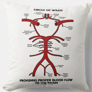 Circle Of Willis Providing Proper Blood Flow Brain Cushion