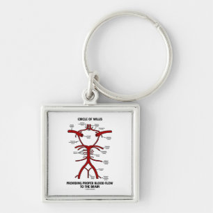 Circle Of Willis Providing Proper Blood Flow Brain Key Ring