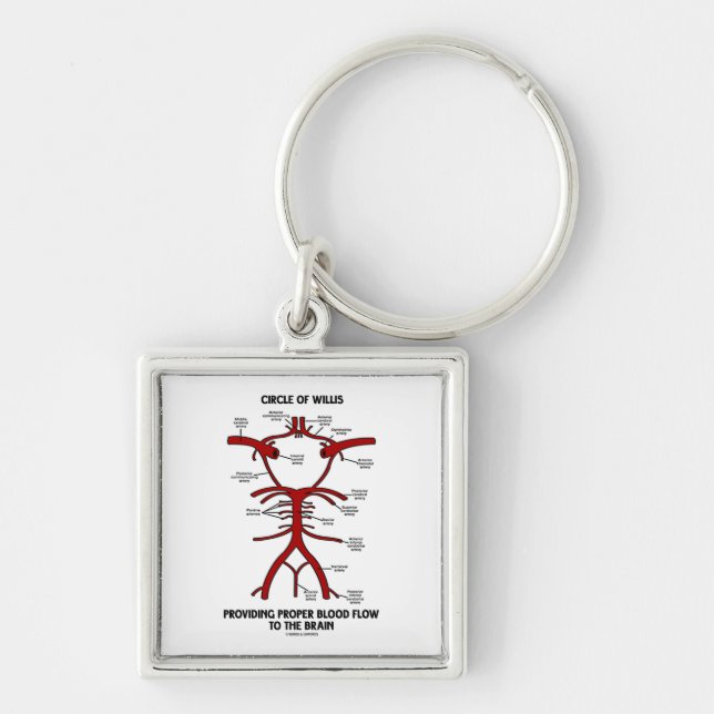 Circle Of Willis Providing Proper Blood Flow Brain Key Ring (Front)