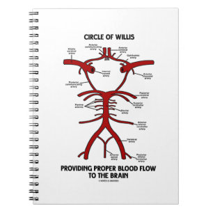 Circle Of Willis Providing Proper Blood Flow Brain Notebook