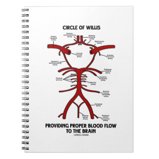 Circle Of Willis Providing Proper Blood Flow Brain Notebook