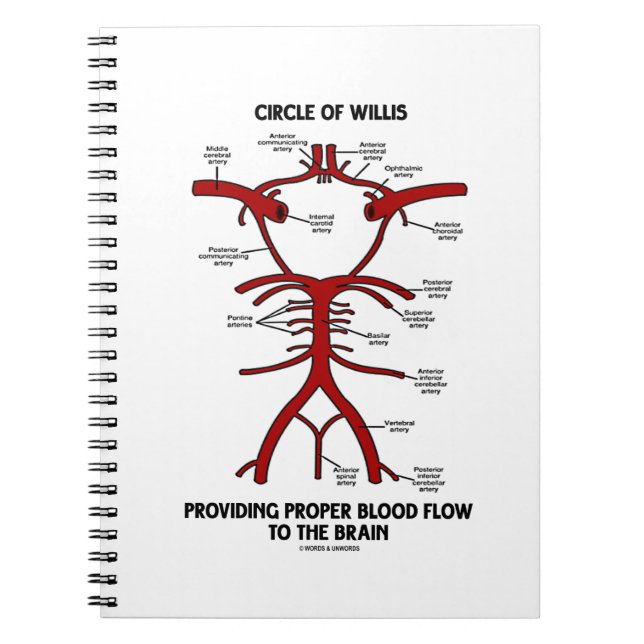 Circle Of Willis Providing Proper Blood Flow Brain Notebook (Front)