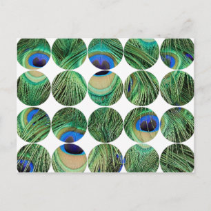 Circle Photo Postcard