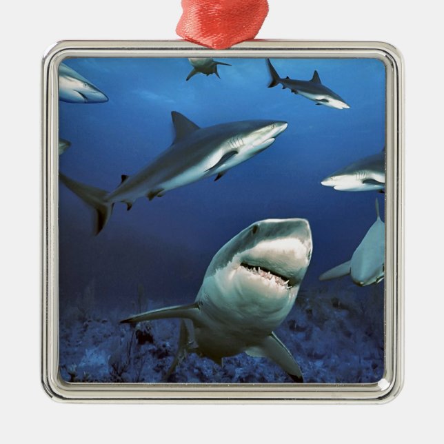 Circling sharks metal tree decoration (Front)