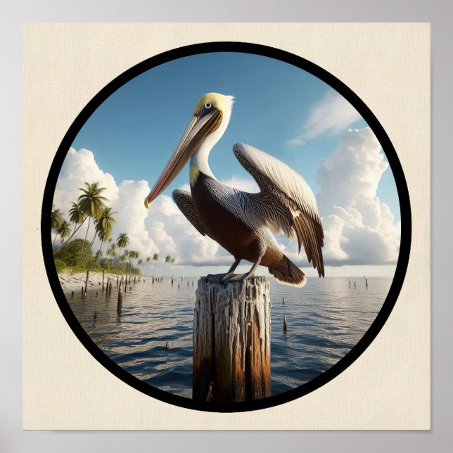 Circular 3D Image of a Beautiful Brown Pelican Poster (Front)