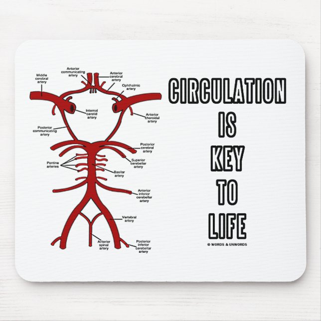 Circulation Is Key To Life (Circle Of Willis) Mouse Mat (Front)