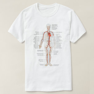 Circulatory System Science   T-Shirt