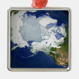 Circum-Arctic permafrost Metal Tree Decoration