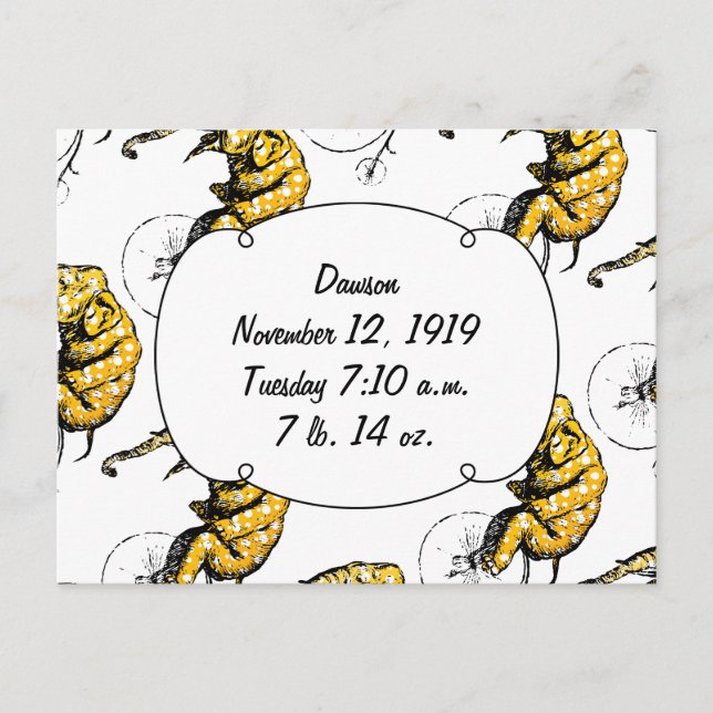 Circus Elephant Gifts Postcard (Front)