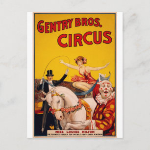 Circus Horse Postcard