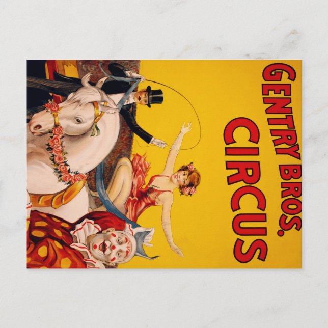 Circus Horse Postcard (Front)