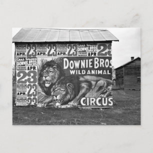 Circus in Tennessee, 1930s Postcard