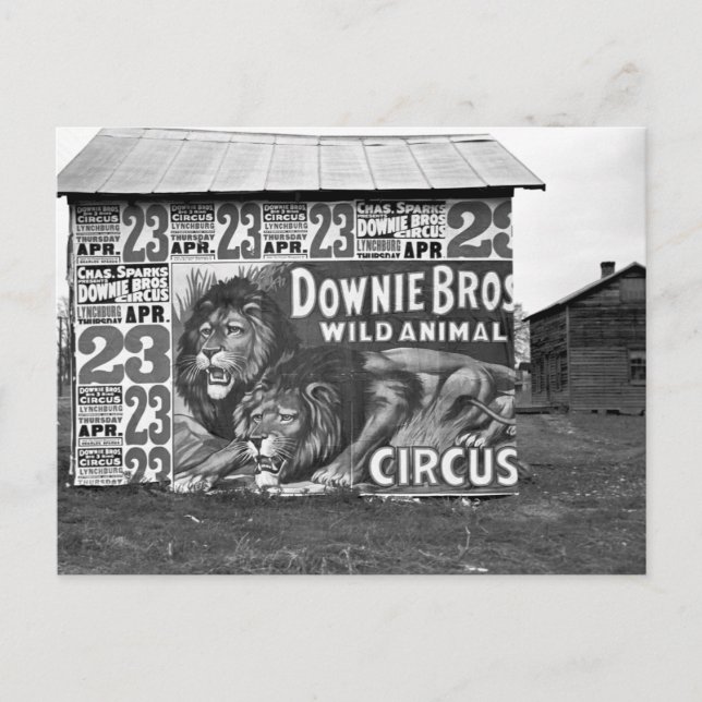 Circus in Tennessee, 1930s Postcard (Front)