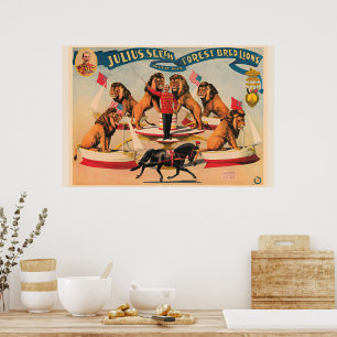 Circus Lions, vintage illustration, Poster