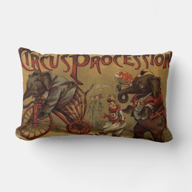 Circus lumbar pillow (Front)