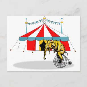 Circus Memorabilia In Memory of Circus Elephants Postcard